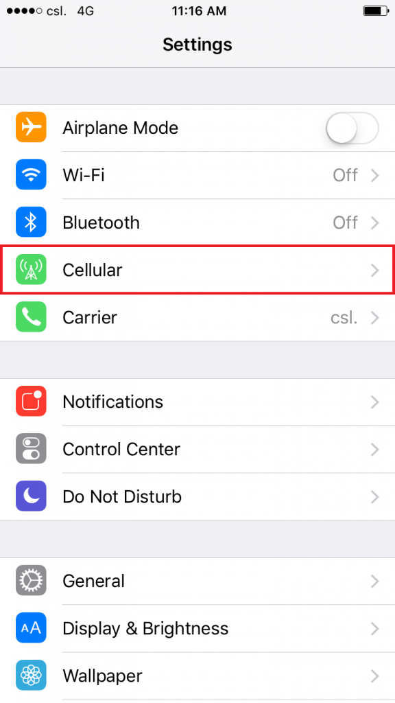 Next Adjust Cellular Settings on iPhone