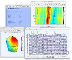 Free Download and Install EEGLab