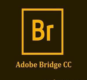 Adobe Bridge Free Download