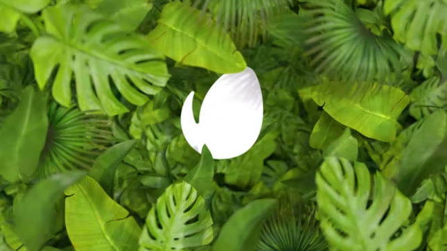 VideoHive &ndash; Nature Flower count down logo reveal [AEP] Free