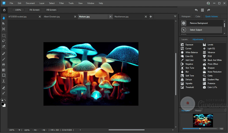 ACDSee Gemstone Photo Editor 2026 ACDSee Gemstone Photo Editor 2026