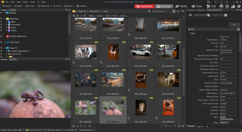 ACDSee Photo Studio Home 2026 Free